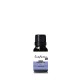 Angel Fragrance Oil