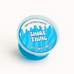 Shore Thing Gel Wax Melt