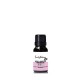 Hello Sweetie Fragrance Oil